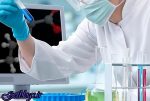 داروی تازه کم کردن ریسک حمله قلبی از طریق میکروب های روده